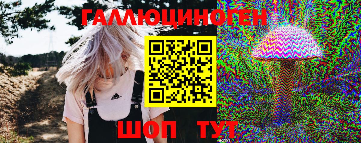 Псилоцибиновые грибы ЛСД Тимашёвск